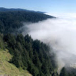 Meet your Posher, Kira